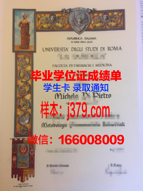 罗马第二大学毕业证照片(意大利罗马第二大学法学院)